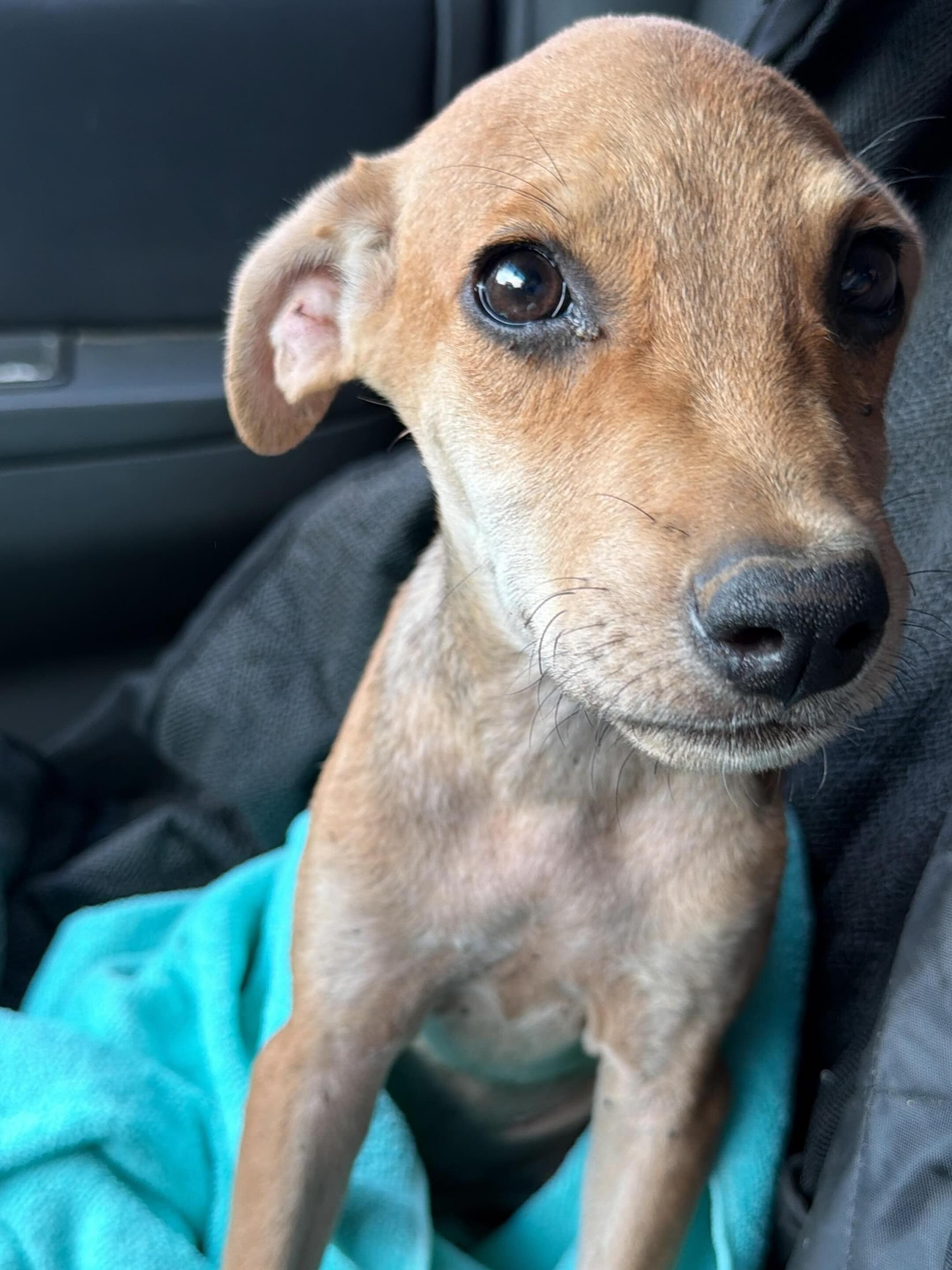 Rescue