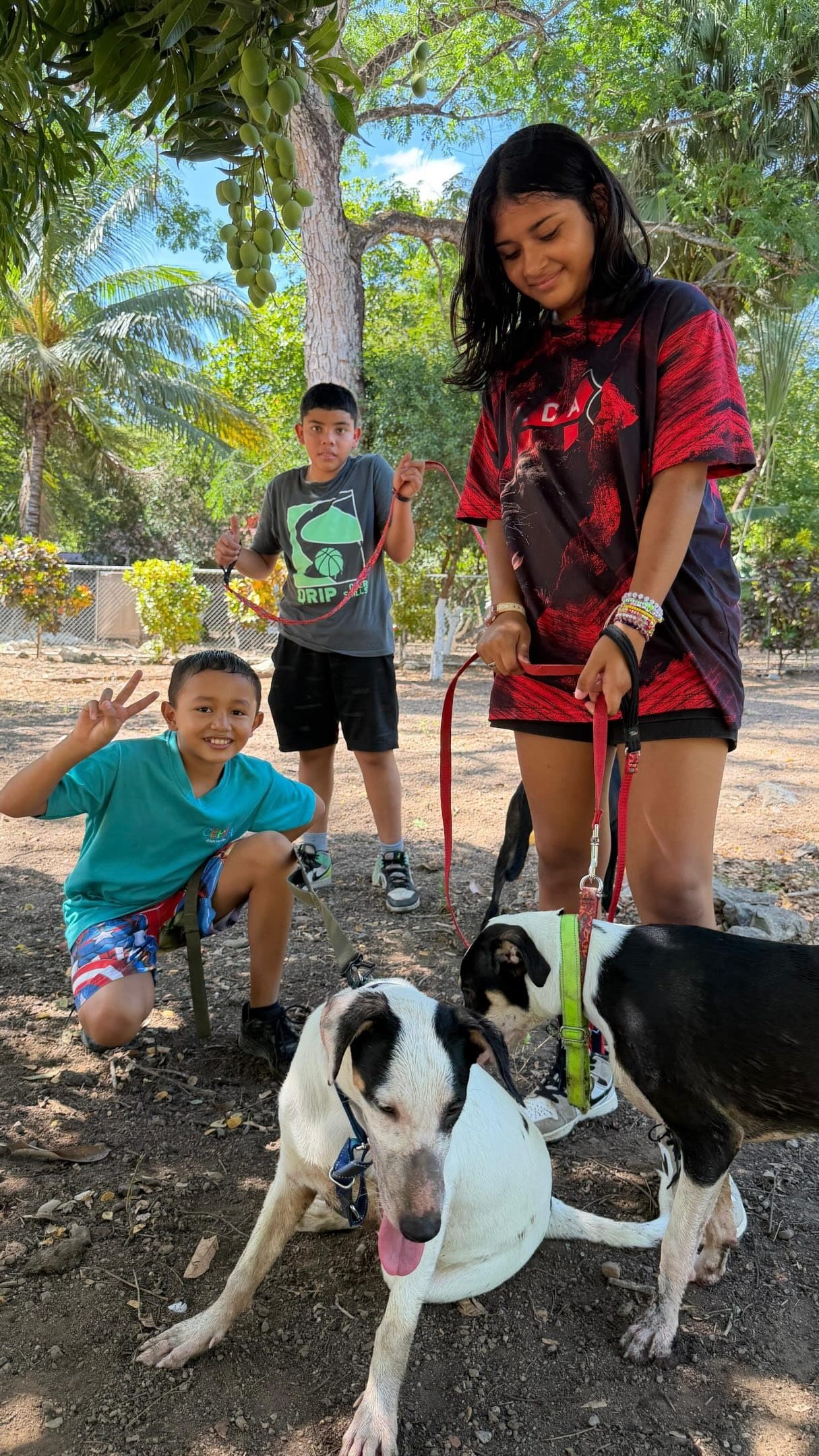 Niños conociendo perros rescatados en el refugio Halfway Home