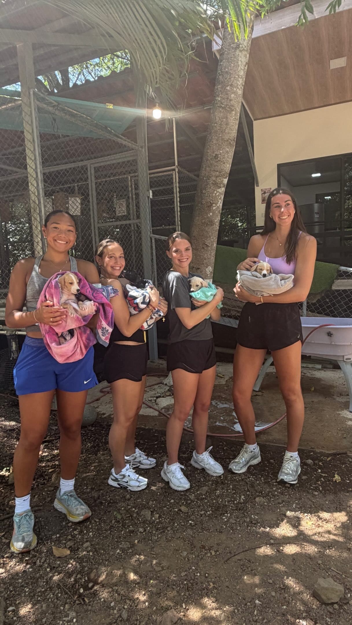 Volunteers holding rescue puppies