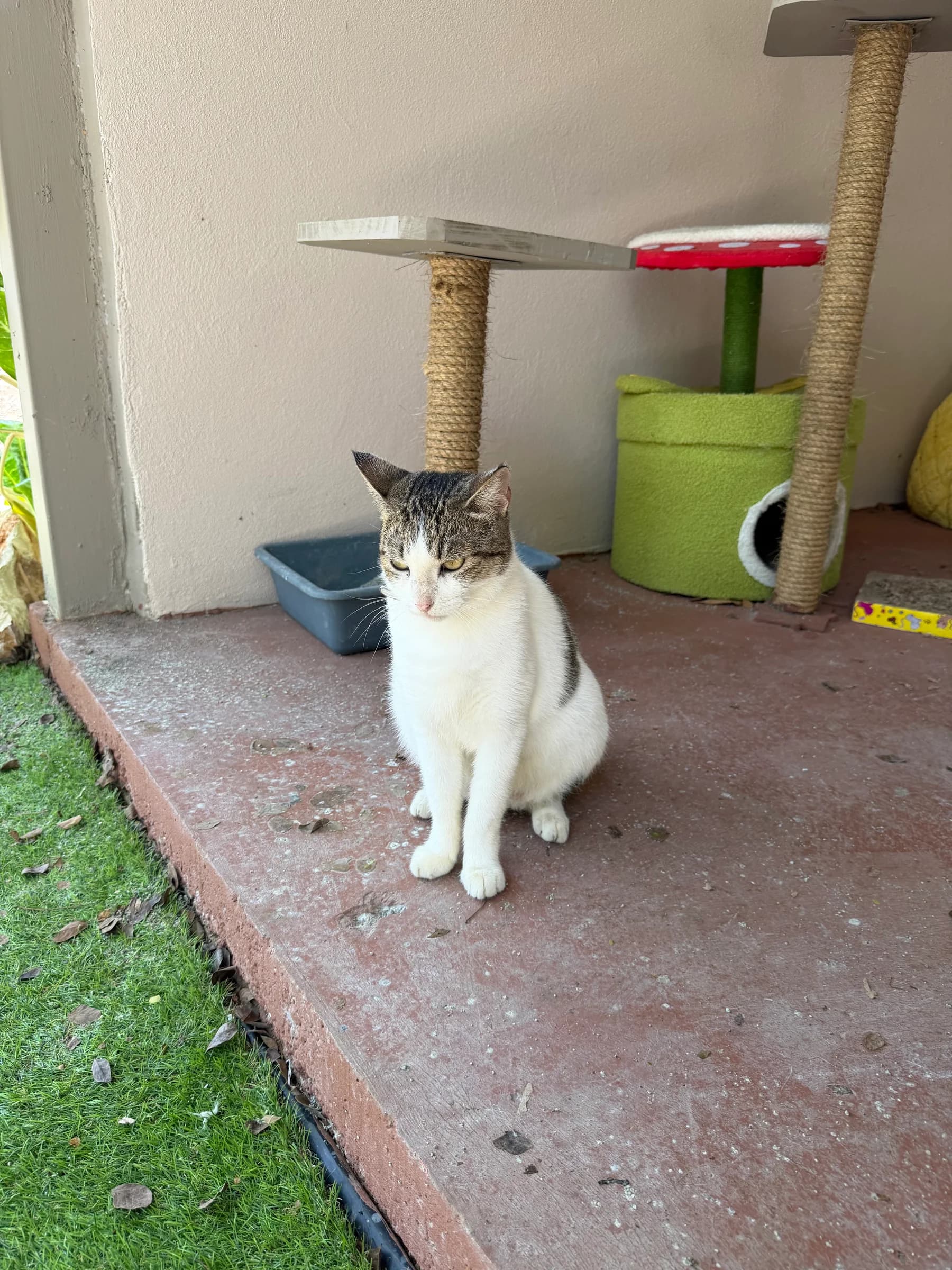 MuMu at Halfway Home