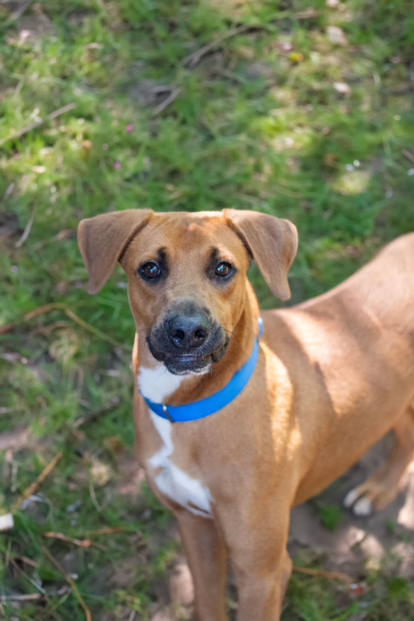 Nelly